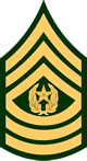Command Sergeant Major, E-9